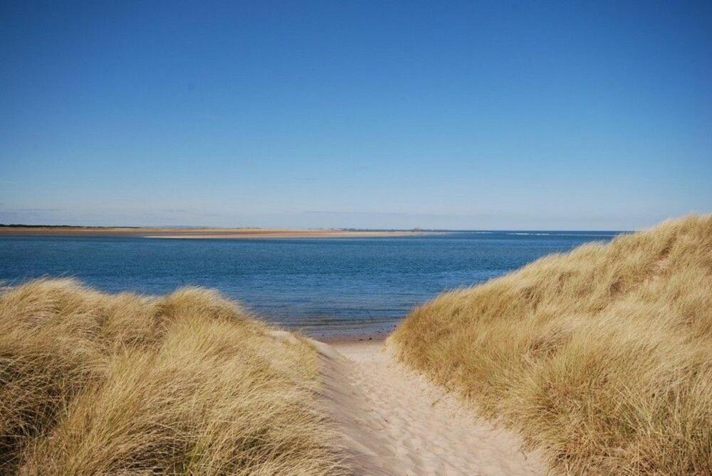 Heather Cottages - Grey Seal Bamburgh Eksteriør billede